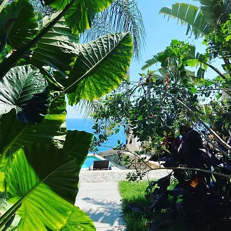 B&bilfortesulmare 3*