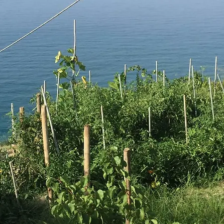Frühstückspension B&bilfortesulmare