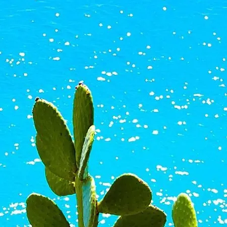 B&bilfortesulmare Oda ve Kahvaltı 3*