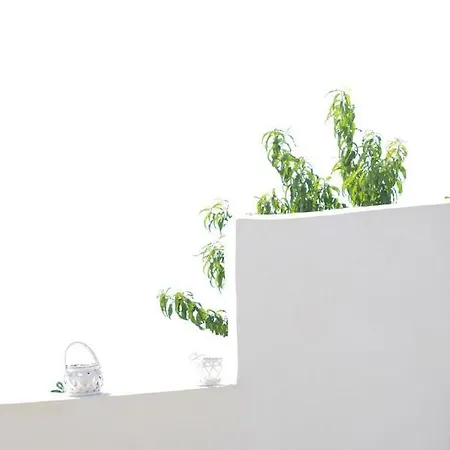 B&bilfortesulmare Ventimiglia