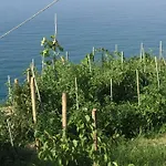 Bed & Breakfast B&bilfortesulmare