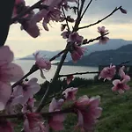 Bed & Breakfast B&bilfortesulmare