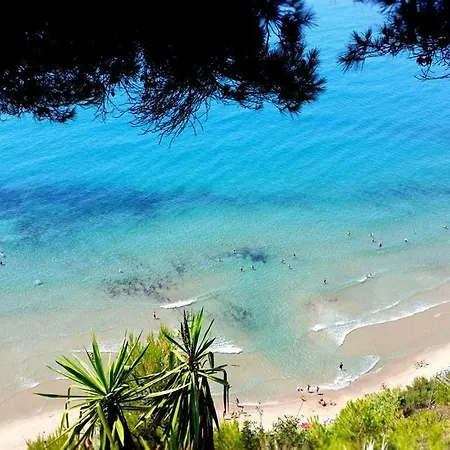 B&bilfortesulmare 3*