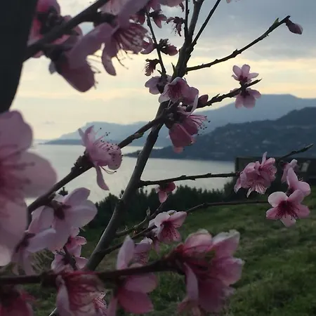 Bed & Breakfast B&bilfortesulmare