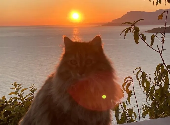 B&bilfortesulmare 3* Ventimiglia