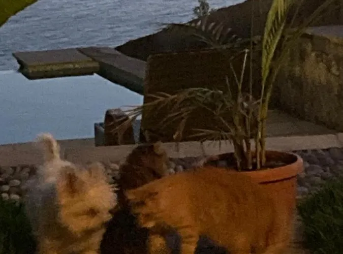 Alojamento de Acomodação e Pequeno-almoço B&bilfortesulmare Ventimiglia