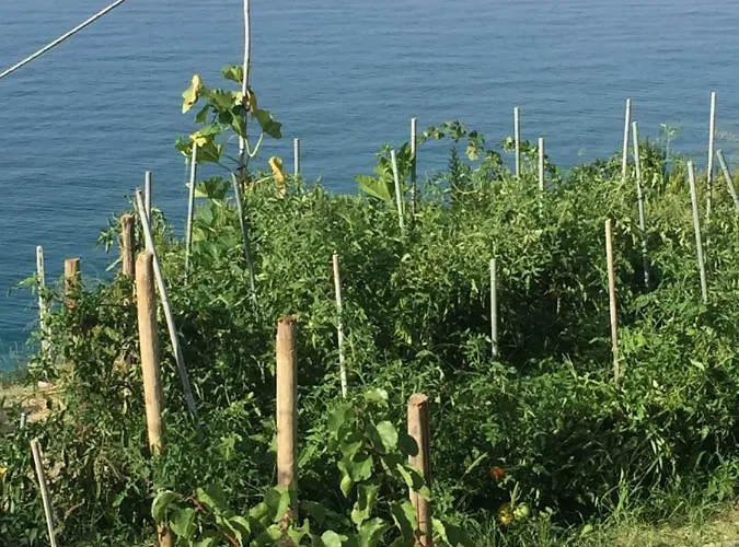 Bed and breakfast B&bilfortesulmare