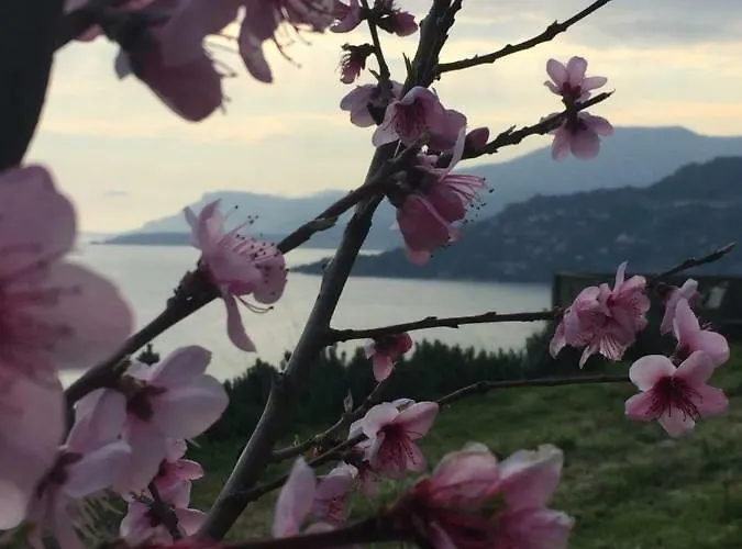 Bed and breakfast B&bilfortesulmare