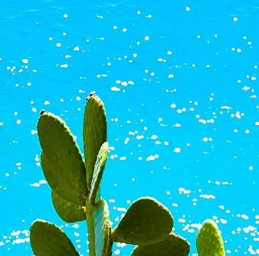 B&bilfortesulmare Bed and breakfast 3*